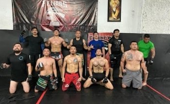 Felino's MMA