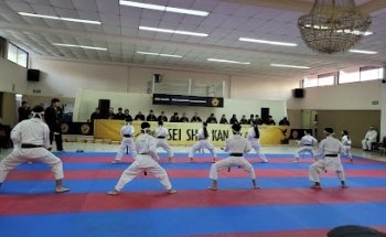 SEI SHIN KAN KARATE