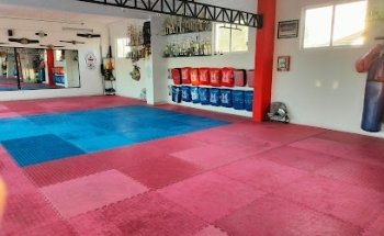 Asociación Lima Lama Querétaro