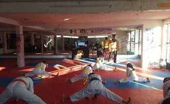 Instituto Nacional De Taekwondo