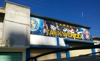 Escuela de Taekwondo WTU Karas Vicente Guerrero