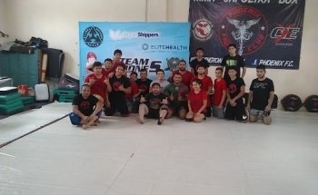 Fénix artes marciales