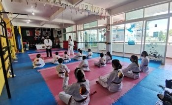 MILENIO FIGHT CLUB (taekwondo-Jiujitsu-Muay Thai-Sambo- Haidong Gumdo)