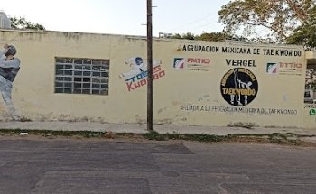 Vergel 65