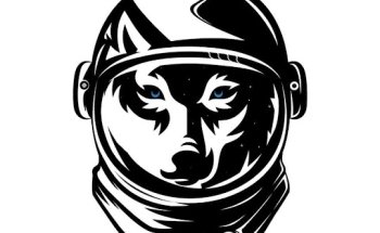 Warehouse Fitness MX