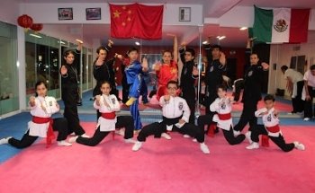 Shaolin de Mexico