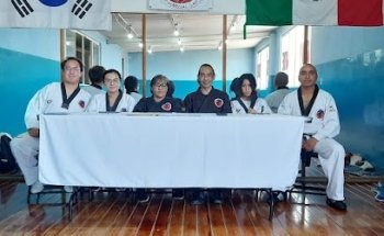 Instituto Marcial Saeloun-do TAEKWONDO central