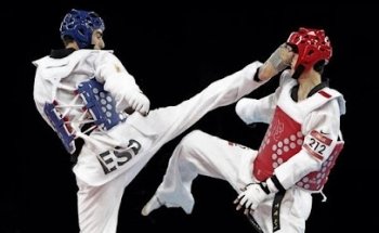 INEMA HALCONES- Instituto de Eduacion Marcial