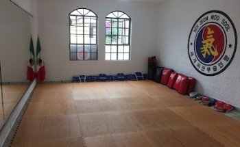 Artes Marciales Hoi Jeon Moo Sool Atemajac