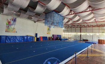Vitaly Gymnastics