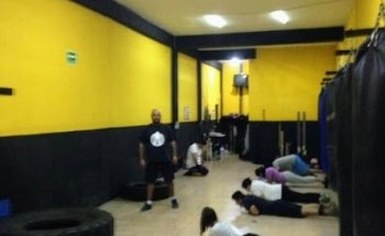 Warriors Factory MMA