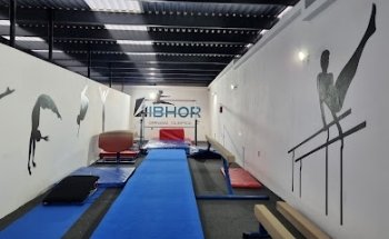 GIBHOR GIMNASIA OLIMPICA