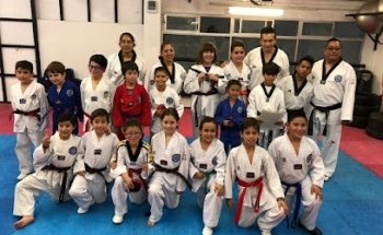Asociación Dosan Tae Kwon Do de México S.C.