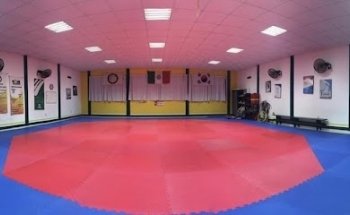 Induk Taekwondo Villa Parrilla