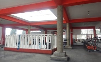 gym minotauro puebla