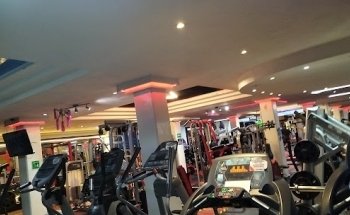 sharks gym