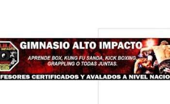 Alto Impacto Artes Marciales Mixtas
