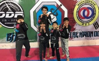 CAOS MMA Team