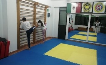 MMW Moo Duk kwan Leones de fu