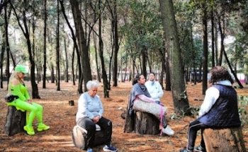 Tai Chi Chuan Long