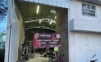LION GYM (Es la acción lo que crea la Motivación)