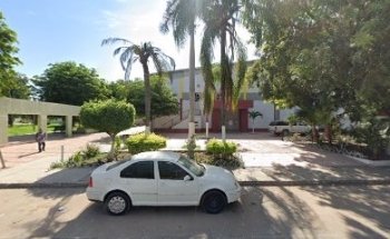 OMERTA: Lima Lama, arte marcial.