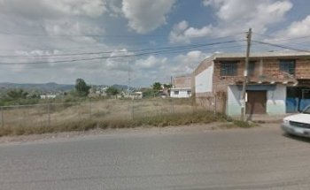 Colegio Panamericano De Taekwondo Guanajuato A.C