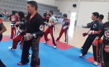 Oshima Sport Minerva