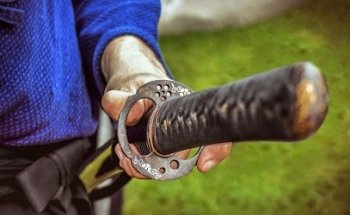 Tenshin shoden katori shinto ryu México