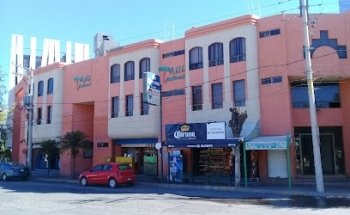 Iremía SLP