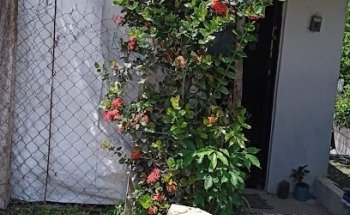 Colegio Marcial Chino Wu shu kung fu