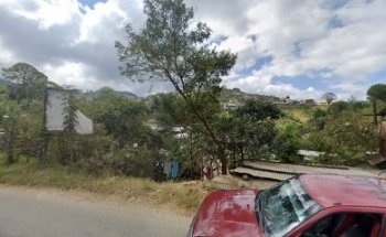 taekwondo ScorpionS Juquila