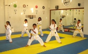 Academia Tao Martial Arts Morelos