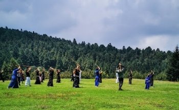 DOJANG LOBOS NEGROS