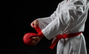 Budokan Karate Puerto Vallarta