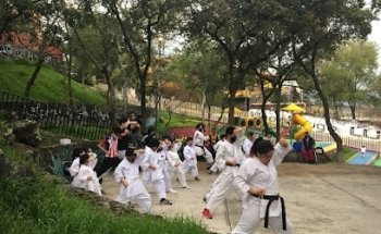Karate-Do Shokenrei Shotokan Dojo Tiger