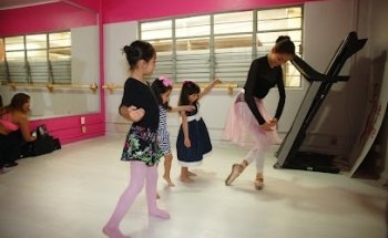 Up Pole & Barre