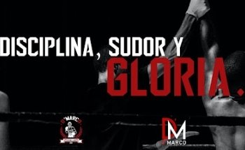 CLUB BOX MAMBA NEGRA