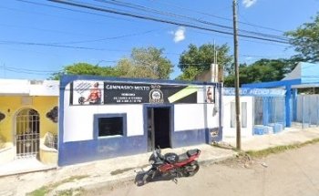 Gimnasio Mixto Club deportivo Leones