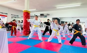 VITA Taekwondo Halcones