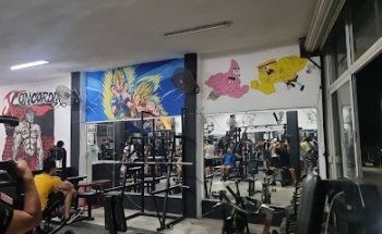 Concordia sport gym