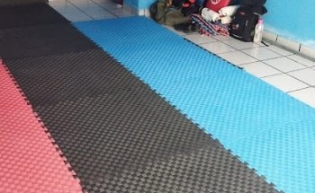 Escuela de Artes Marciales Ryu