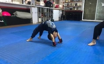 Taekwondo Jaguares Plateros