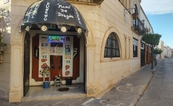 Escuela de Artes Marciales Chinas MANO DE DRAGÓN A.C.