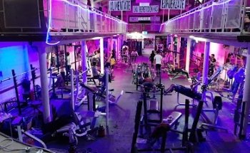 Animal Fitness