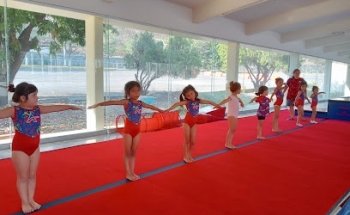 ACADEMIA DE GIMNASIA ADAMS