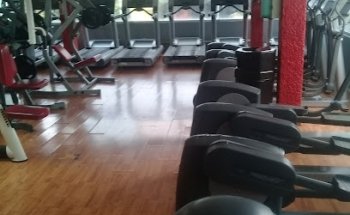 MC GYM BY Martinzote