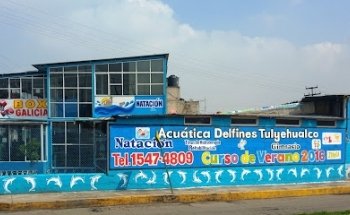 ACUATICA DELFINES TULYEHUALCO