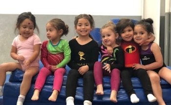 Gimnastica
