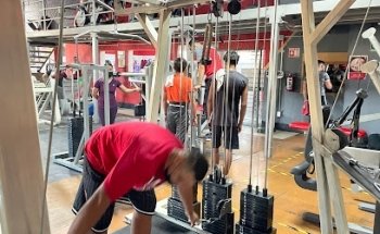 BULL GYM